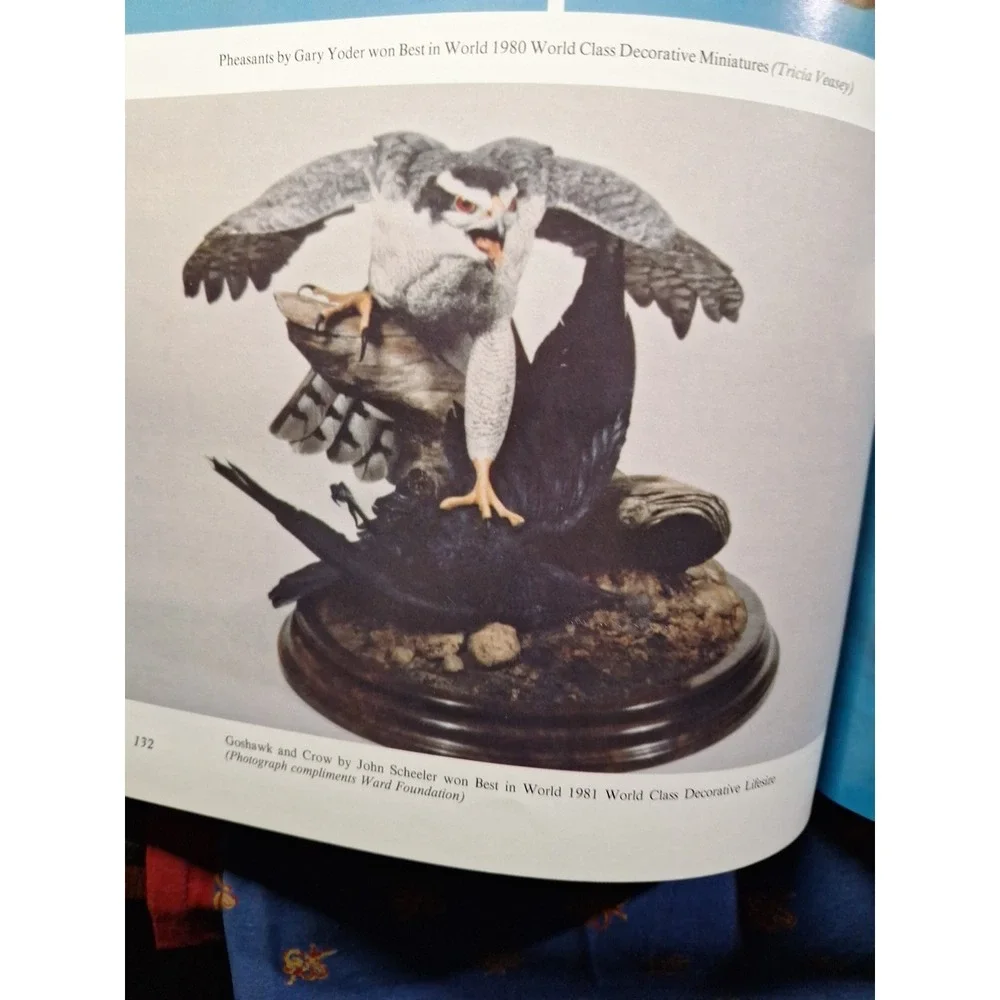 Championship Carving, Hardcover by Veasey, Tricia; Johnson, Tom, Like New‎